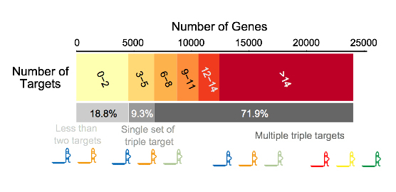 [Panel B, Figure 7]